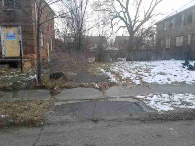 Testing again(54).jpg